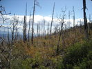 photo thumbnail #2