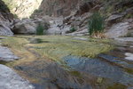 photo thumbnail #10