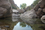 photo thumbnail #11