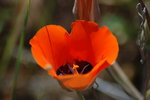 photo thumbnail #13