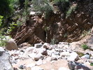 photo thumbnail #8