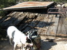 photo thumbnail #1