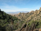 photo thumbnail #4