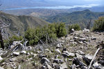 photo thumbnail #6
