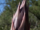 photo thumbnail #9