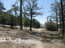 photo thumbnail #11