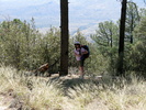 photo thumbnail #13