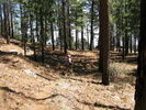photo thumbnail #15