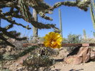 photo thumbnail #2