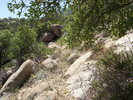 photo thumbnail #2