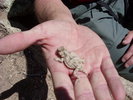 photo thumbnail #3