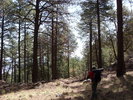 photo thumbnail #9