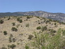 photo thumbnail #12