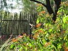 photo thumbnail #1