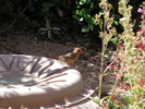 photo thumbnail #7