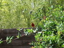 photo thumbnail #8