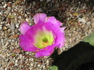 photo thumbnail #14