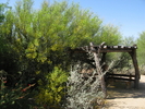 photo thumbnail #15