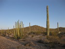 photo thumbnail #2