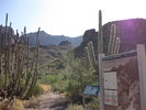 photo thumbnail #7