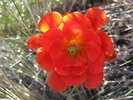 photo thumbnail #13