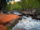 photo thumbnail #11
