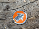 photo thumbnail #14