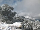 photo thumbnail #7