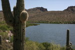 photo thumbnail #1