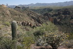 photo thumbnail #8