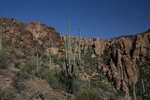 photo thumbnail #9