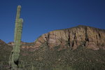 photo thumbnail #10