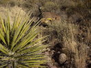 photo thumbnail #5
