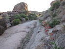 photo thumbnail #5