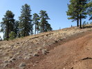 photo thumbnail #7