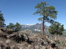 photo thumbnail #13