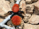 photo thumbnail #1