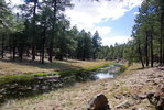photo thumbnail #14