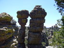 photo thumbnail #10