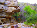 photo thumbnail #1