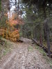 photo thumbnail #3