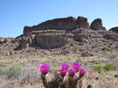 photo thumbnail #10
