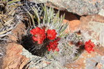 photo thumbnail #2