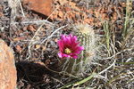 photo thumbnail #3