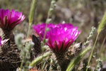 photo thumbnail #6