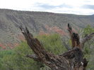 photo thumbnail #14