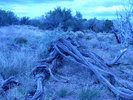 photo thumbnail #15