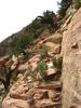 photo thumbnail #6