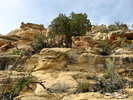 photo thumbnail #14