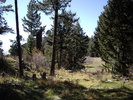 photo thumbnail #12